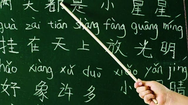 সৌদির স্কুলে চীনের ভাষা - দৈনিকশিক্ষা