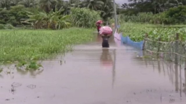 Flood in Sherpur: Death toll reaches 7 - Dainikshiksha