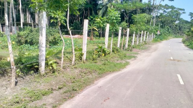 স্কুলশিক্ষকের জমিতে জোর করে কাঁটাতারের বেড়া - দৈনিকশিক্ষা