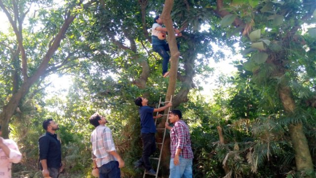 পাখিদের নিরাপদ আশ্রয়ে গাছে গাছে কৃত্রিম বাসা জাবি ছাত্রদলের - দৈনিকশিক্ষা