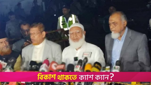 জাতীয় ঐক্য তৈরিতে বিএনপির দাবির সঙ্গে একমত জামায়াত